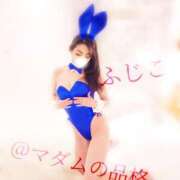 ヒメ日記 2025/11/20 23:24 投稿 ふじこ マダムの品格