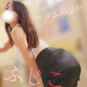 ヒメ日記 2025/11/21 21:34 投稿 ふじこ マダムの品格