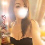 ヒメ日記 2025/11/28 15:45 投稿 ふじこ マダムの品格