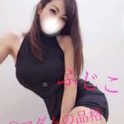 ヒメ日記 2025/11/30 02:11 投稿 ふじこ マダムの品格