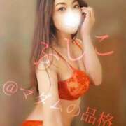 ヒメ日記 2025/12/13 22:32 投稿 ふじこ マダムの品格