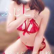 ヒメ日記 2025/12/14 15:32 投稿 ふじこ マダムの品格