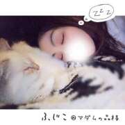 ヒメ日記 2025/12/20 15:46 投稿 ふじこ マダムの品格