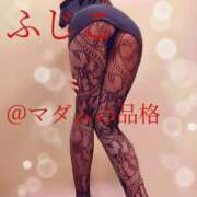 ヒメ日記 2025/12/28 17:30 投稿 ふじこ マダムの品格