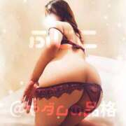 ヒメ日記 2025/12/29 07:19 投稿 ふじこ マダムの品格