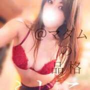 ヒメ日記 2026/01/23 13:08 投稿 ふじこ マダムの品格