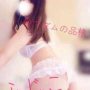 ヒメ日記 2026/01/23 17:15 投稿 ふじこ マダムの品格