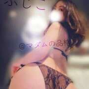 ヒメ日記 2026/02/05 00:59 投稿 ふじこ マダムの品格