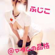 ヒメ日記 2026/02/10 16:03 投稿 ふじこ マダムの品格