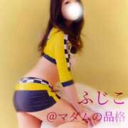 ヒメ日記 2026/02/12 14:31 投稿 ふじこ マダムの品格