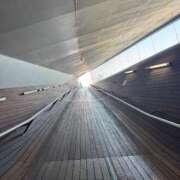 ヒメ日記 2025/03/11 00:18 投稿 奥山あいな 東京不倫～とうきょうふりん～