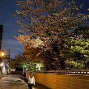 ヒメ日記 2025/04/07 09:57 投稿 こむぎ リッチドールフェミニン