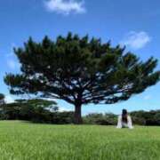 ヒメ日記 2025/08/02 21:17 投稿 こむぎ リッチドールフェミニン