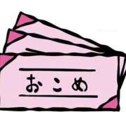 ヒメ日記 2026/07/14 09:13 投稿 芦原ももこ(あしはらももこ) 神戸妻