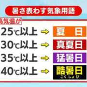 ヒメ日記 2026/07/22 06:10 投稿 芦原ももこ(あしはらももこ) 神戸妻