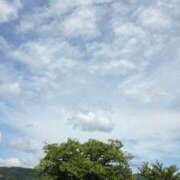 ヒメ日記 2026/08/10 10:20 投稿 芦原ももこ(あしはらももこ) 神戸妻
