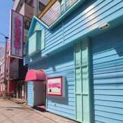 ヒメ日記 2026/09/02 09:03 投稿 芦原ももこ(あしはらももこ) 神戸妻キャッスル店