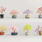 ヒメ日記 2026/09/18 13:50 投稿 芦原ももこ(あしはらももこ) 神戸妻キャッスル店