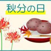 ヒメ日記 2026/09/23 06:01 投稿 芦原ももこ(あしはらももこ) 神戸妻キャッスル店