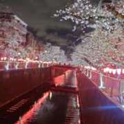 はづき お花見〜🌸 熟女の風俗最終章 高崎店