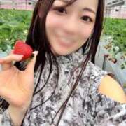 ヒメ日記 2025/04/13 19:46 投稿 おとは 紳士の嗜み 大宮