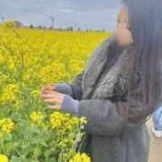 ヒメ日記 2025/04/19 14:15 投稿 おとは 紳士の嗜み 大宮