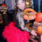 ヒメ日記 2025/10/31 12:03 投稿 おとは 紳士の嗜み 大宮