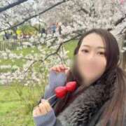 ヒメ日記 2026/04/03 10:40 投稿 おとは 紳士の嗜み 大宮