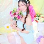 ヒメ日記 2026/04/23 12:06 投稿 おとは 紳士の嗜み 大宮