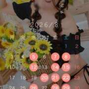 ヒメ日記 2026/08/12 13:31 投稿 おとは 紳士の嗜み 大宮