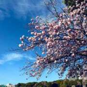 ヒメ日記 2025/05/02 07:31 投稿 はるひ マネLOVE