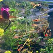 はるひ 今週もなんと‼️ マネLOVE