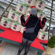 ヒメ日記 2025/01/03 12:08 投稿 ちはる 茨城神栖ちゃんこ