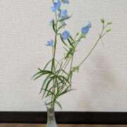 ヒメ日記 2025/01/14 12:02 投稿 ちはる 茨城神栖ちゃんこ