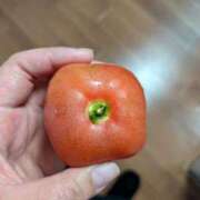 ヒメ日記 2025/01/24 10:01 投稿 ちはる 茨城神栖ちゃんこ