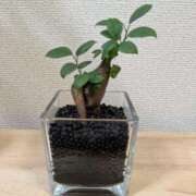 ヒメ日記 2025/02/10 10:00 投稿 ちはる 茨城神栖ちゃんこ