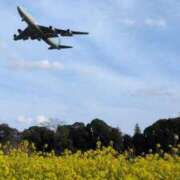 ヒメ日記 2025/03/31 07:01 投稿 ちはる 茨城神栖ちゃんこ