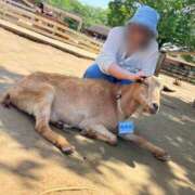 ヒメ日記 2025/05/12 13:08 投稿 ちはる 茨城神栖ちゃんこ