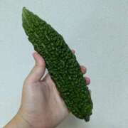 ヒメ日記 2025/05/21 11:54 投稿 ちはる 茨城神栖ちゃんこ