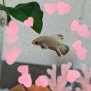 ヒメ日記 2025/10/07 10:01 投稿 ちはる 茨城神栖ちゃんこ