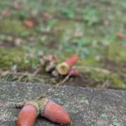 ヒメ日記 2025/10/16 13:12 投稿 ちはる 茨城神栖ちゃんこ