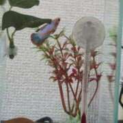 ヒメ日記 2025/10/27 08:25 投稿 ちはる 茨城神栖ちゃんこ