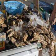 ヒメ日記 2025/12/17 15:02 投稿 ちはる 茨城神栖ちゃんこ