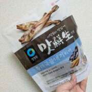 ヒメ日記 2026/02/12 08:02 投稿 ちはる 茨城神栖ちゃんこ