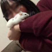 ヒメ日記 2026/03/09 23:45 投稿 ちはる 茨城神栖ちゃんこ