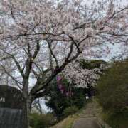 ヒメ日記 2026/04/01 13:26 投稿 ちはる 茨城神栖ちゃんこ
