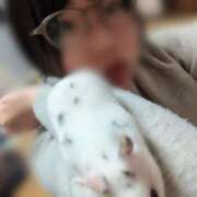 ヒメ日記 2026/04/09 22:17 投稿 ちはる 茨城神栖ちゃんこ