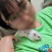 ヒメ日記 2026/04/28 10:02 投稿 ちはる 茨城神栖ちゃんこ