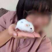 ヒメ日記 2026/05/21 23:13 投稿 ちはる 茨城神栖ちゃんこ
