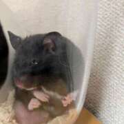 ヒメ日記 2026/06/19 10:02 投稿 ちはる 茨城神栖ちゃんこ